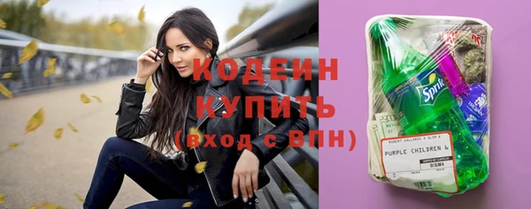шишки Абаза