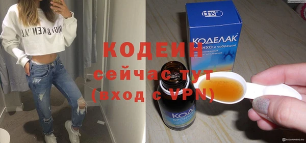 шишки Абаза