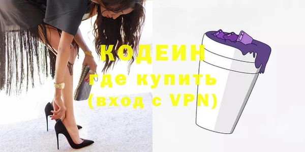 шишки Абаза