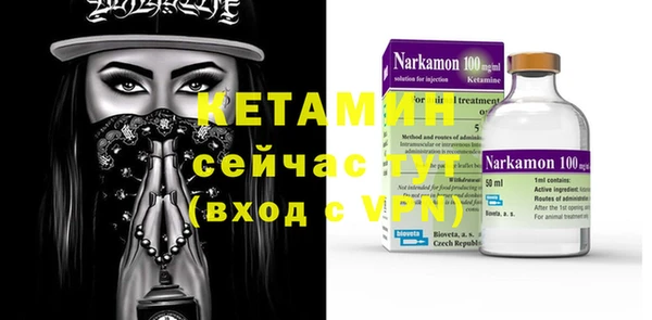 шишки Абаза