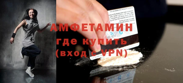 шишки Абаза