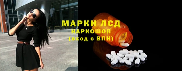 шишки Абаза