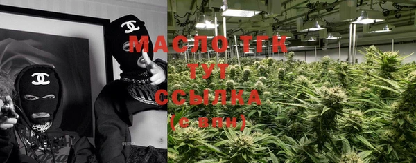шишки Абаза