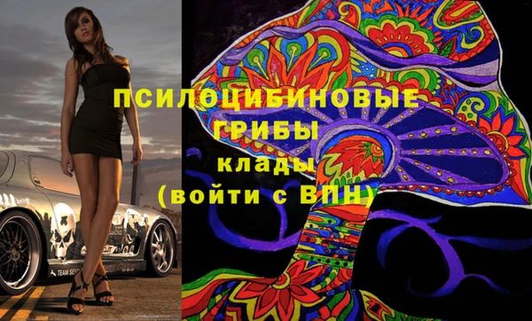шишки Абаза