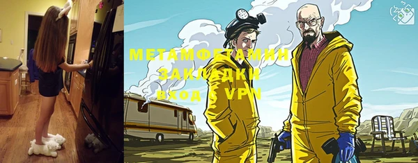 шишки Абаза